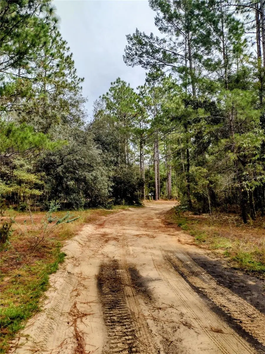 171 7th Way, Interlachen, FL 32148 - Image #2