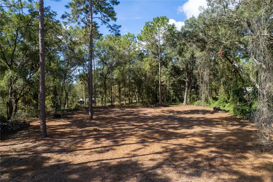 Se 180th Ave Road, Ocklawaha, FL 32179 - Image #2