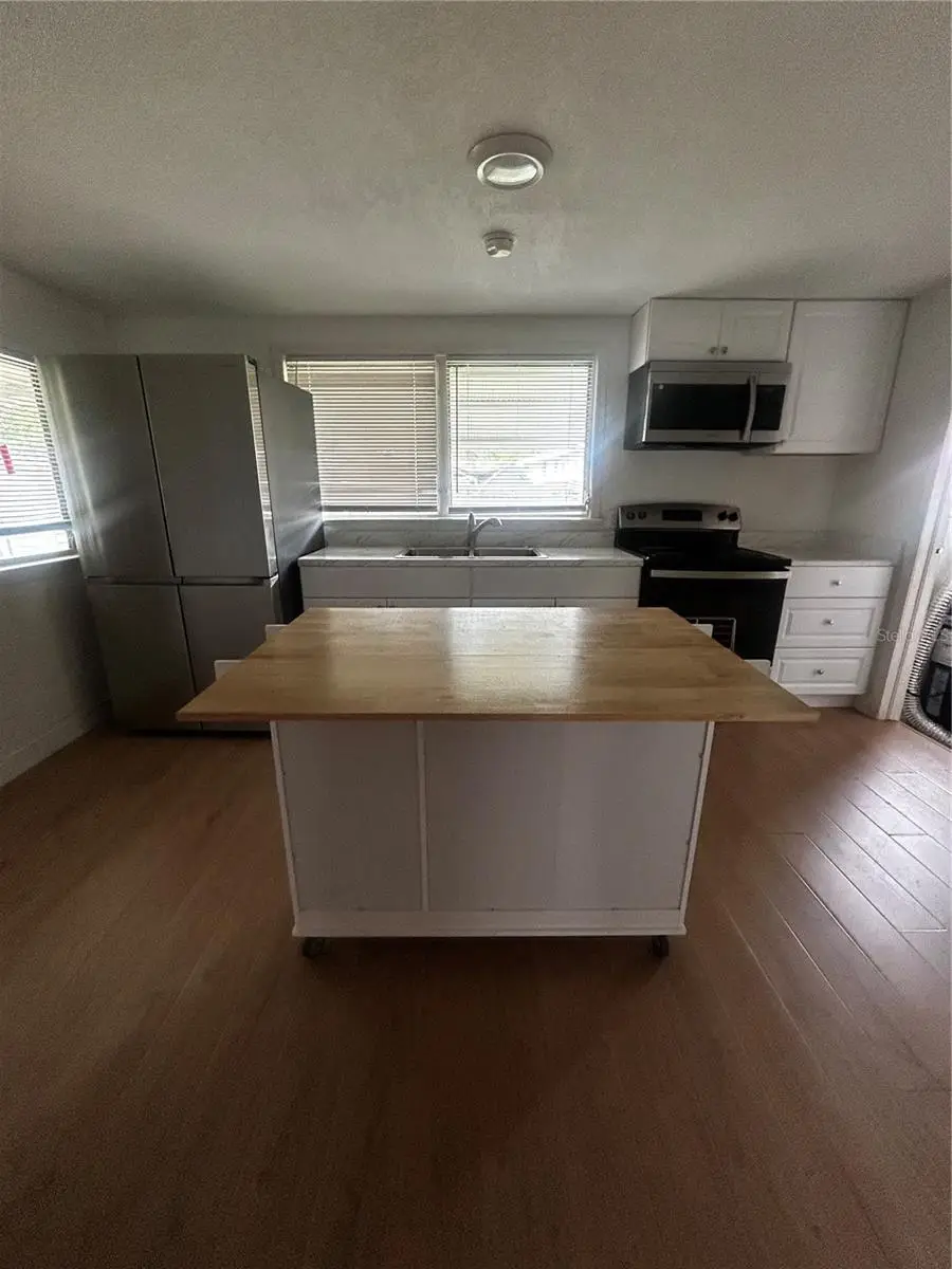 1565 Channell Drive, Mount Dora, FL 32757 - Image #3