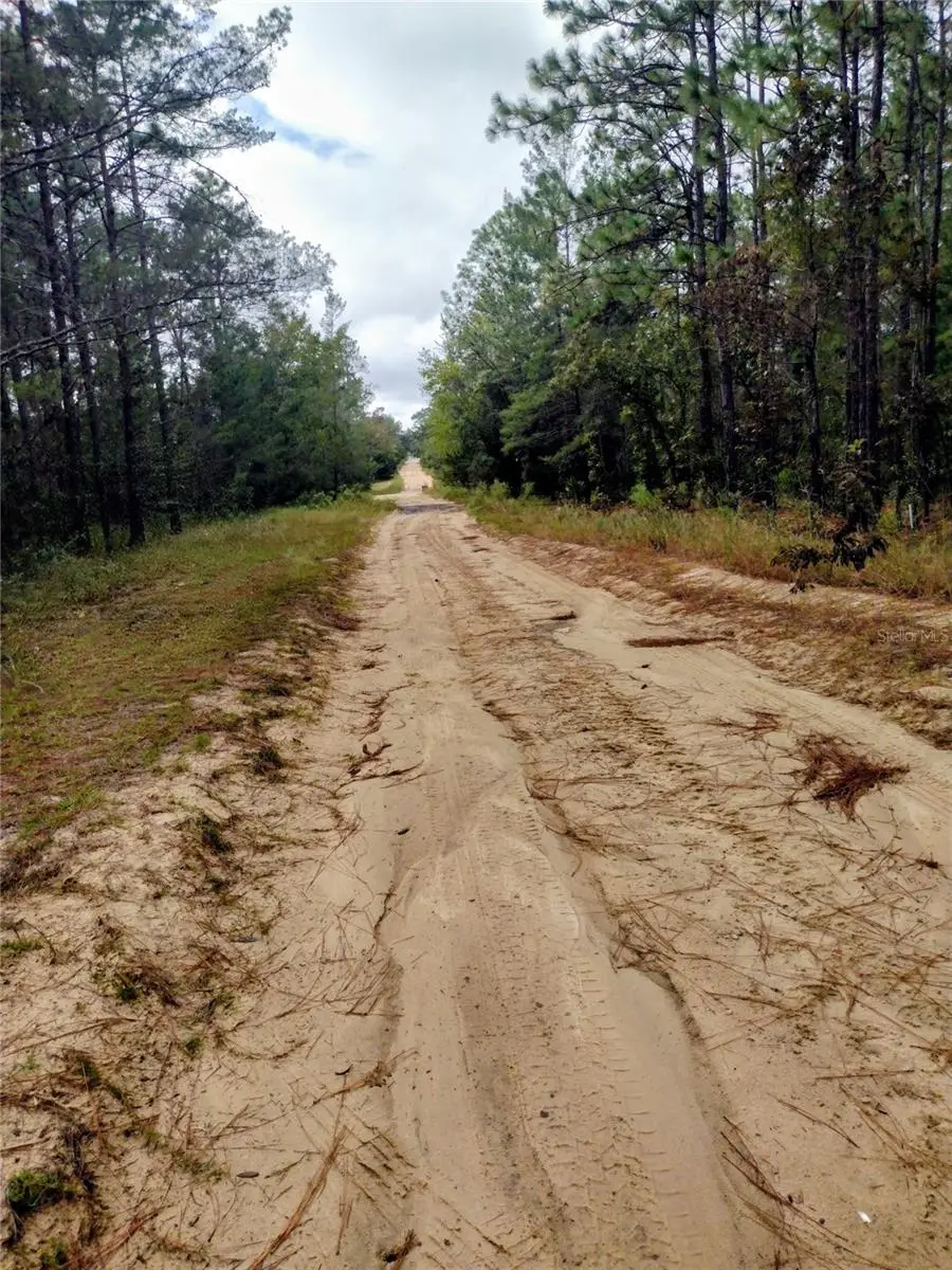 165 7th Way, Interlachen, FL 32148 - Image #3