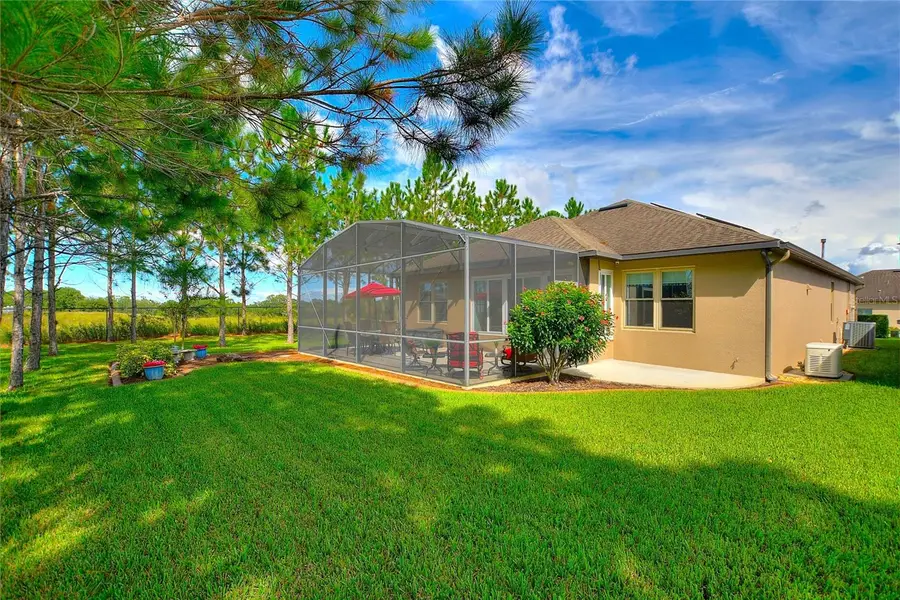 451 Palencia Place, Davenport, FL 33837 - Image #3