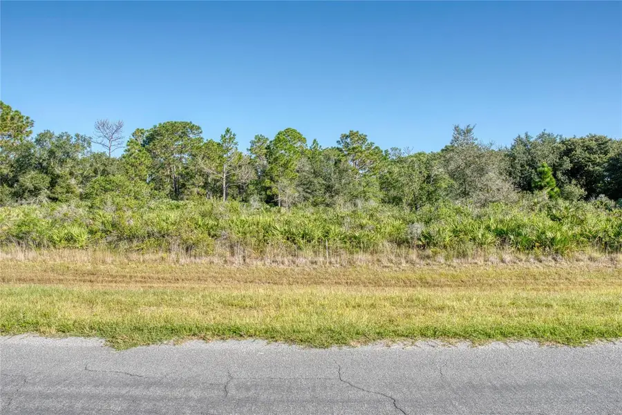 0 Reynolds Parkway, Orlando, FL 32833 - Image #2