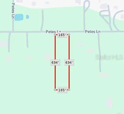 Petes Lane, Davenport, FL 33837 - Image #1
