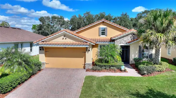 316 Treviso Drive, KISSIMMEE, FL 34759