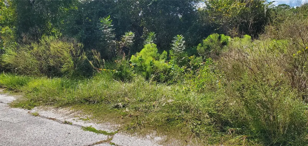 Sebring Court, Poinciana, FL 34759 - Image #1