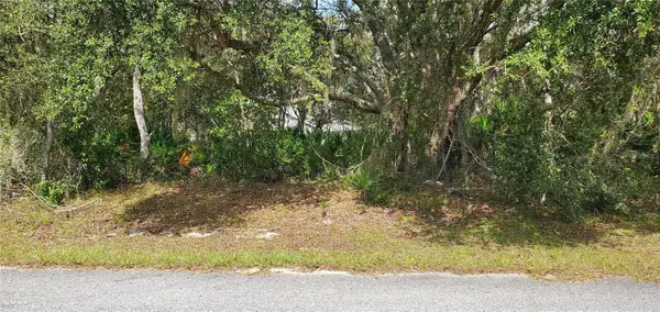 111 Warmouth Lane, KISSIMMEE, FL 34759