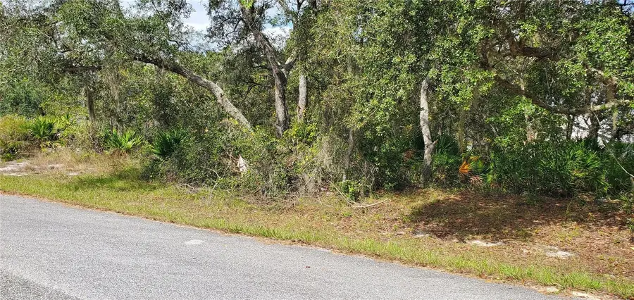 1227 Alafia Way, Poinciana, FL 34759 - Image #3