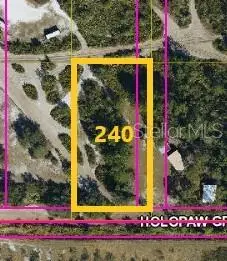 Suburban Ests Sec 20...3441 002h, Saint Cloud, FL 34771 - Image #1
