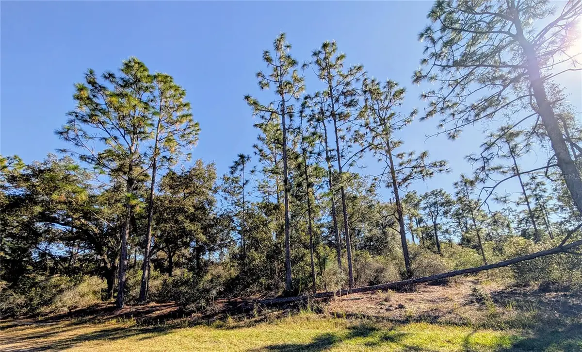 609 Indian Lake Drive, Indian Lake Estates, FL 33855 - Image #1