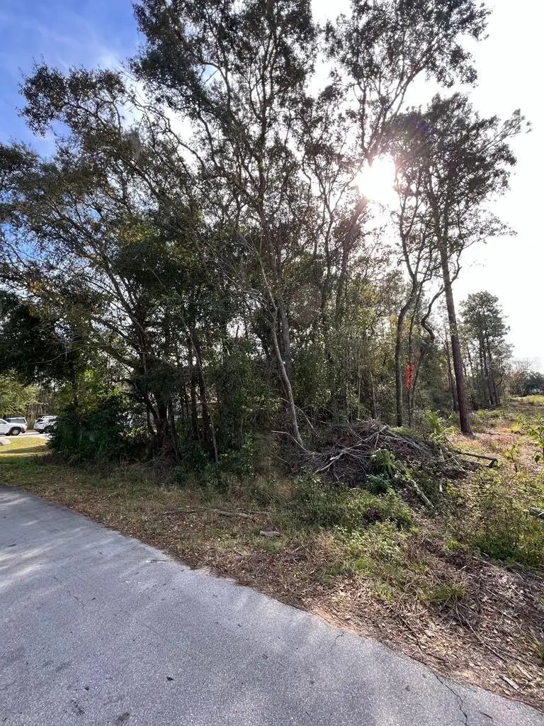 Bahia Terrace, Ocala, FL 34472 - Image #2