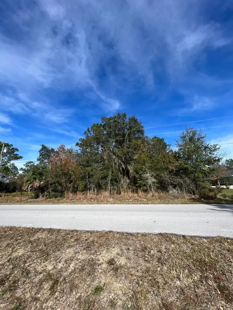 Bahia Terrace, Ocala, FL 34472 - Image #3