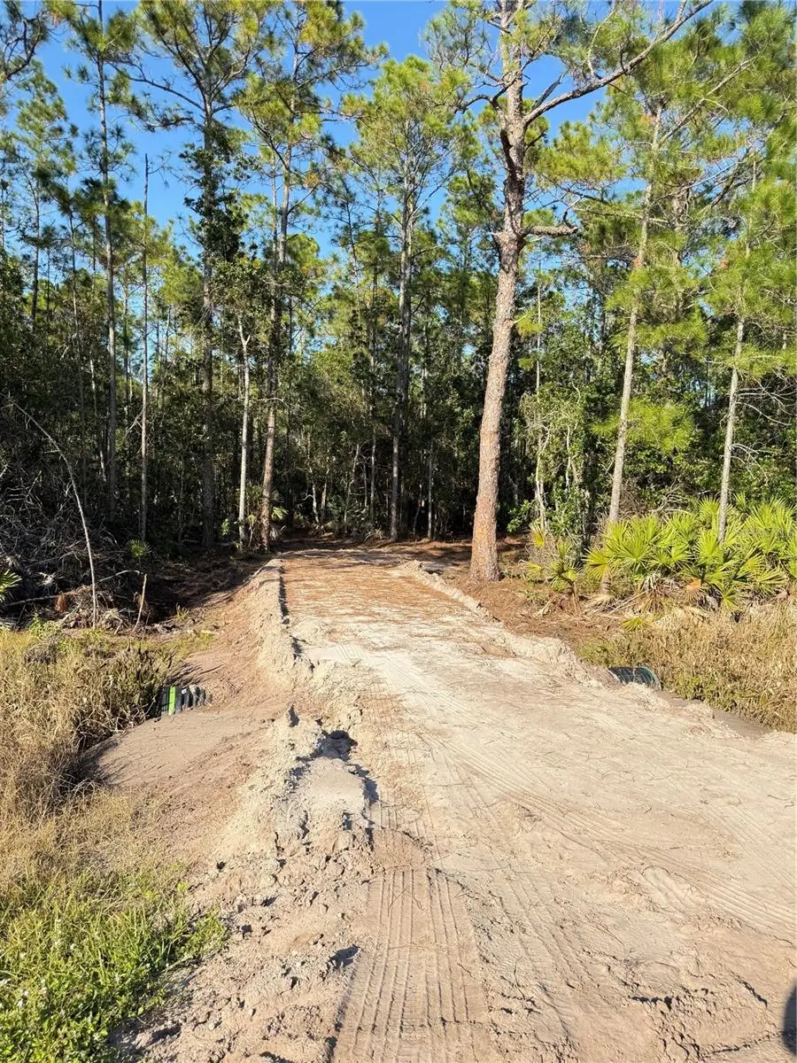 E Colonial Drive, Christmas, FL 32709 - Image #1