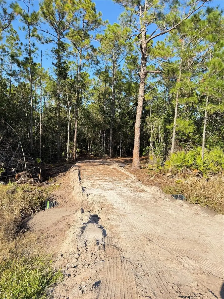 E Colonial Drive, Christmas, FL 32709 - Image #2