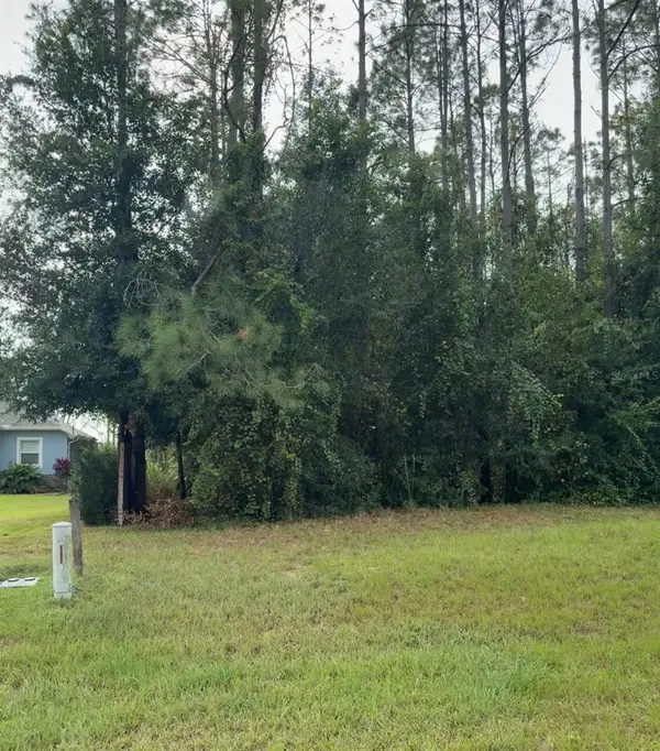 Lake Smith Road, UMATILLA, FL 32784