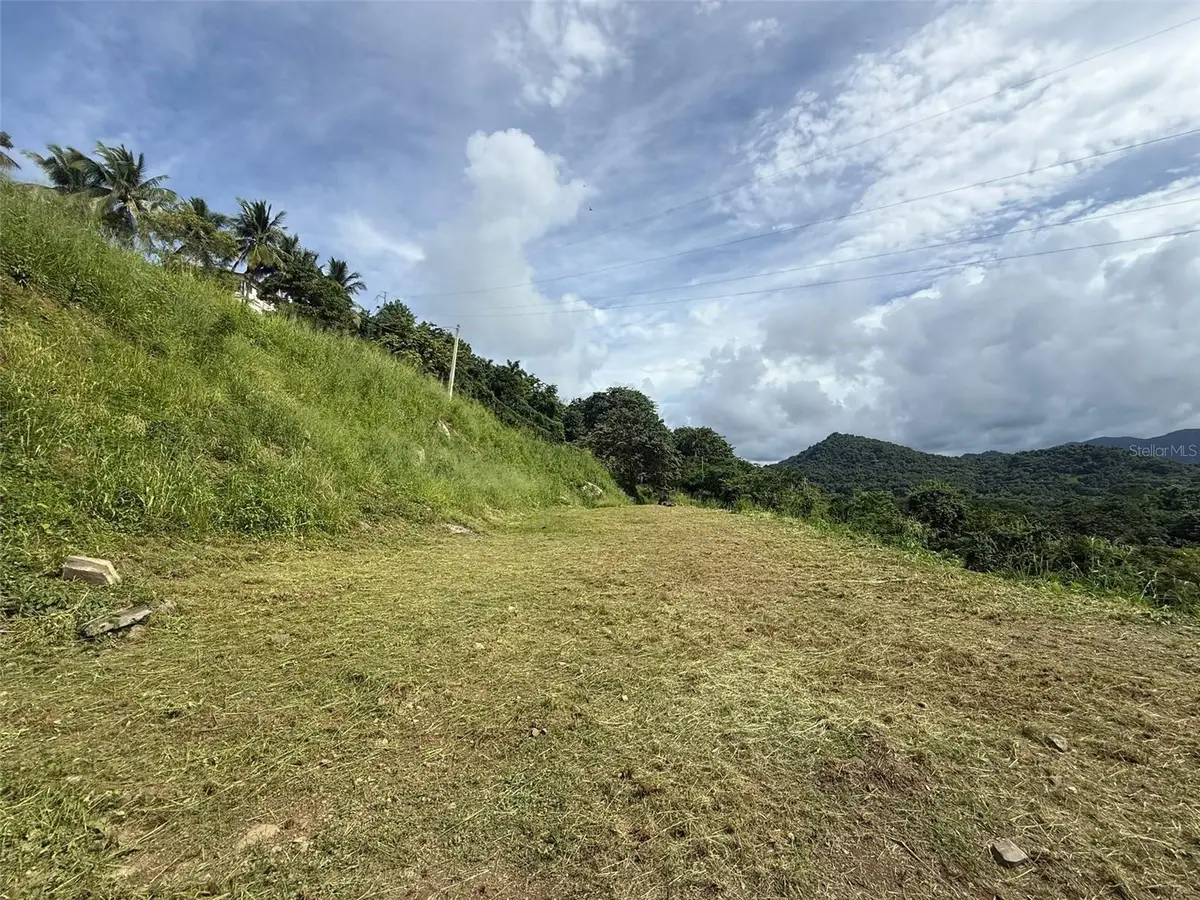 10 Rainforest And Sea View Resort,, Luquillo, PR 00773 - #1