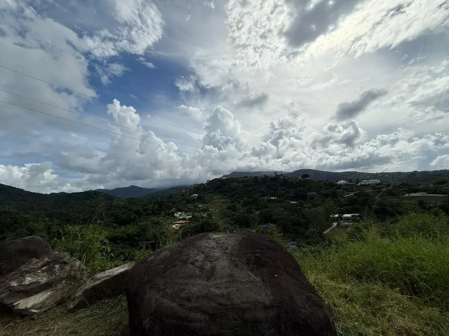 10 Rainforest And Sea View Resort,, Luquillo, PR 00773 - #2