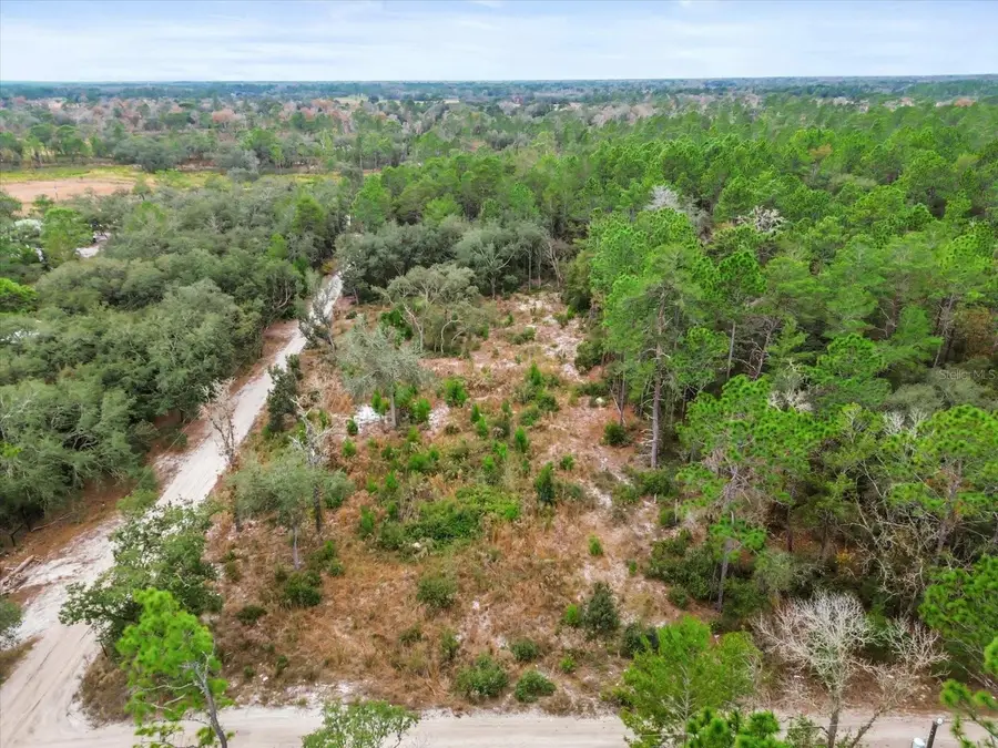 SW 158th Lane, Dunnellon, FL 34432 - Image #3