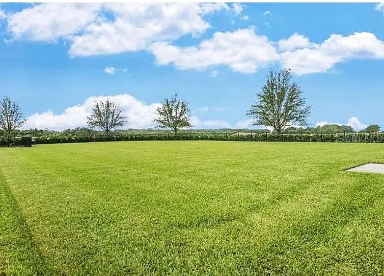 15590 Murcott Blossom Boulevard, Winter Garden, FL 34787 - Image #3