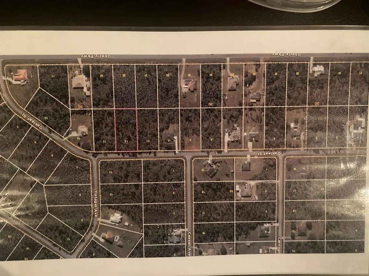 Oakleaf Street, Orlando, FL 32833 - #1