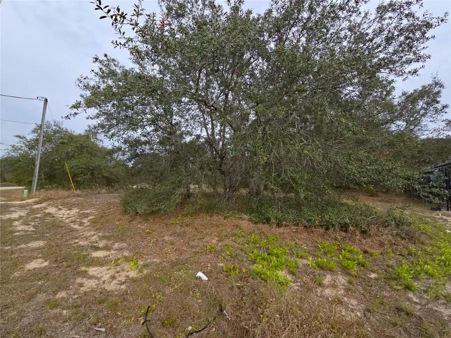 1420 Punta Gorda Court, Poinciana, FL 34759 - Image #3