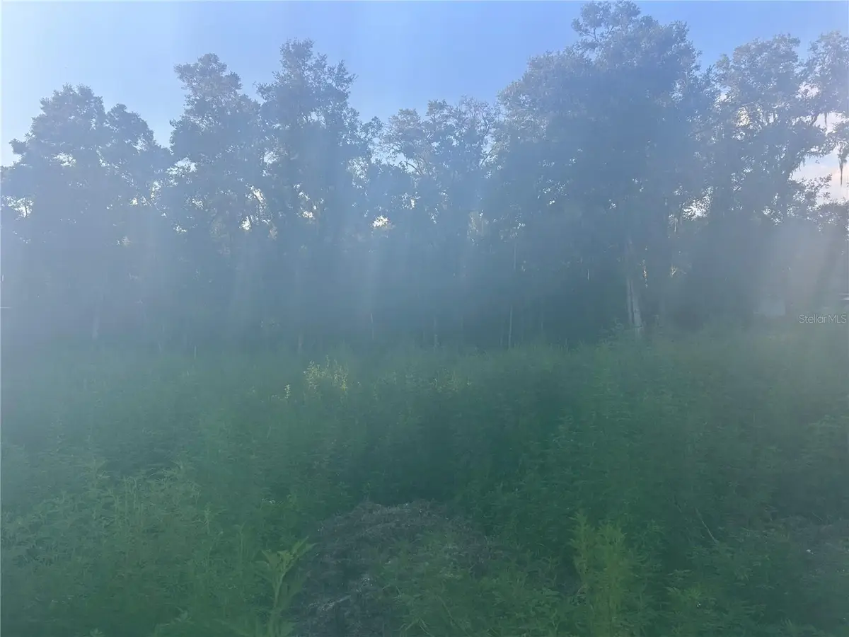 3528 W Nieman Drive, Dunnellon, FL 34433 - #1