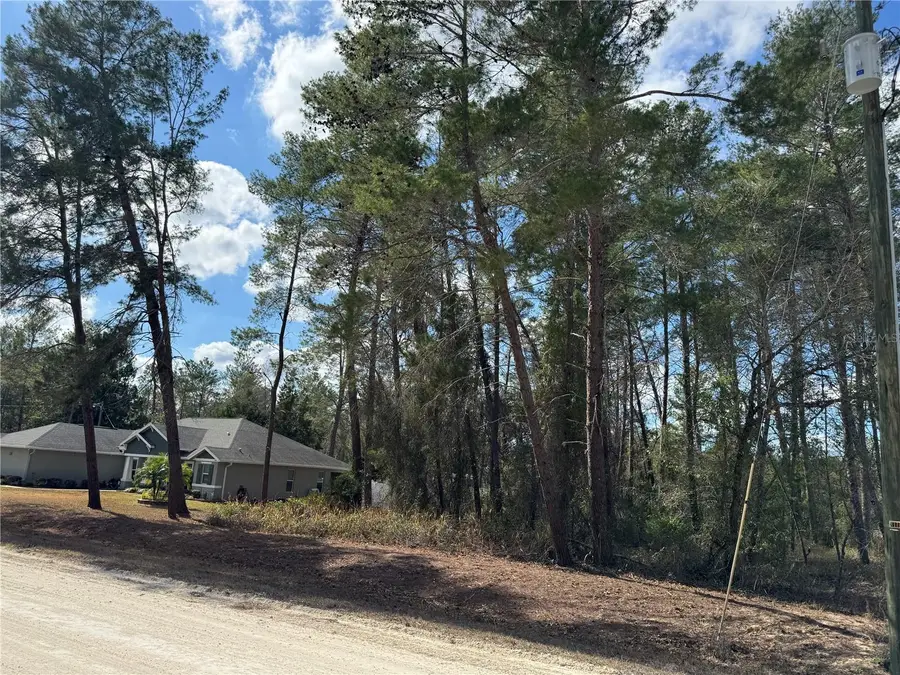 Filbert Rd, Weeki Wachee, FL 34614 - #3