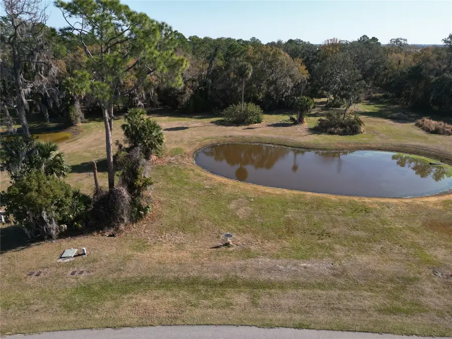 3672 Hidden River Lane, Tavares, FL 32778 - #3