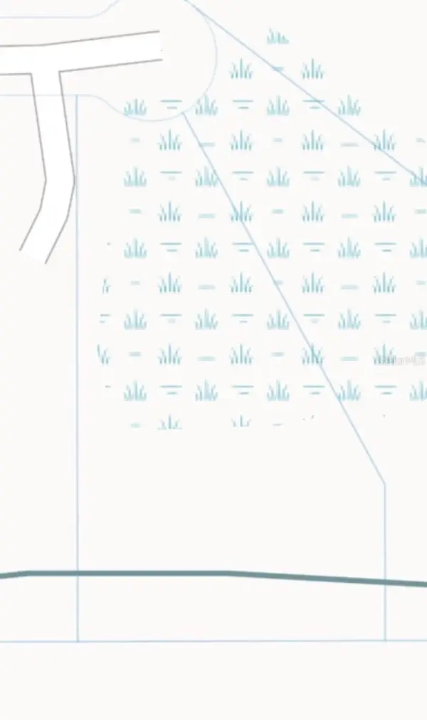 Nutmeg Street, ORLANDO, FL 32833