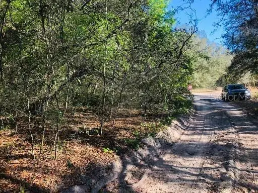 Oakridge Drive, Lady Lake, FL 32159 - #1