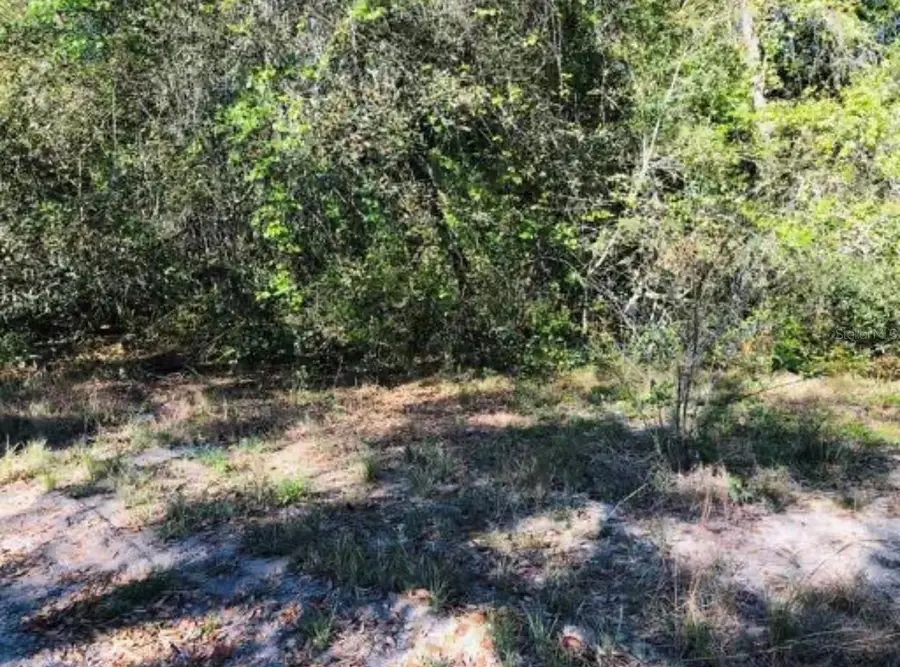 Oakridge Drive, Lady Lake, FL 32159 - #2