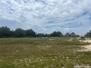 1322 Hillsborough Drive, Poinciana, FL 34759 - #1