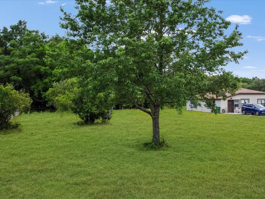 101 W Griffin Street, Fruitland Park, FL 34731 - #3