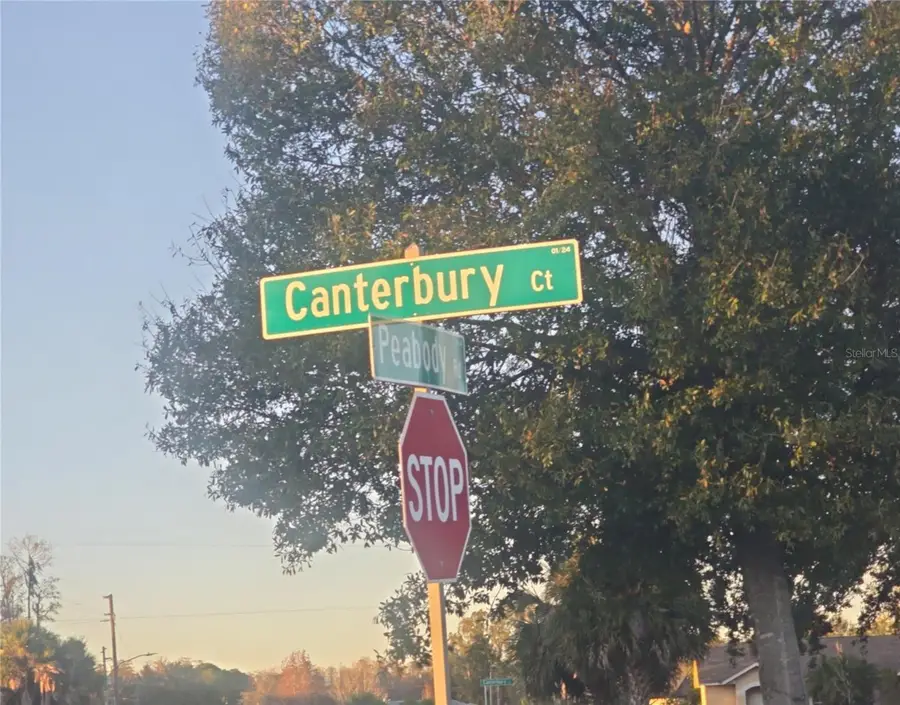 230 Canterbury Court, Kissimmee, FL 34758 - #2