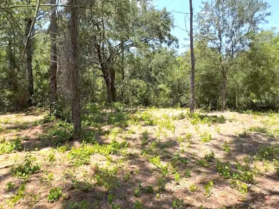 434 Ranchette Road, New Smyrna Beach, FL 32168 - #3