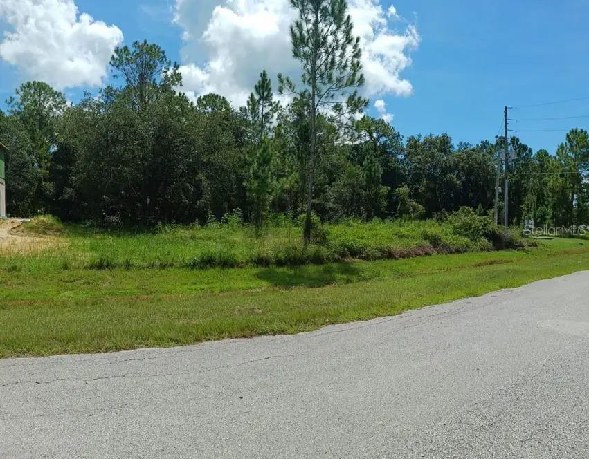 202 Spoonbill Drive, Poinciana, FL 34759 - #2