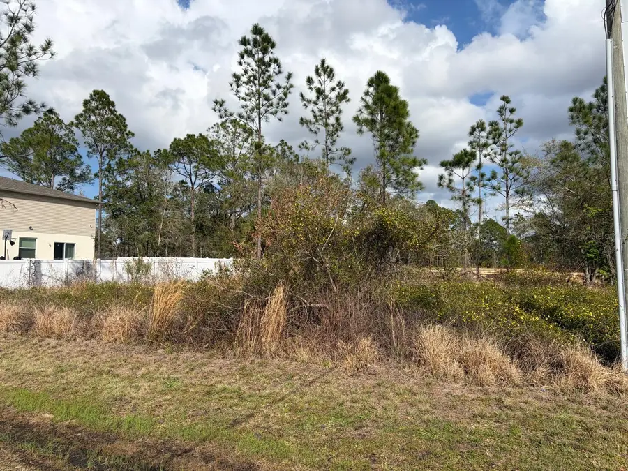 202 Spoonbill Drive, Poinciana, FL 34759 - #3