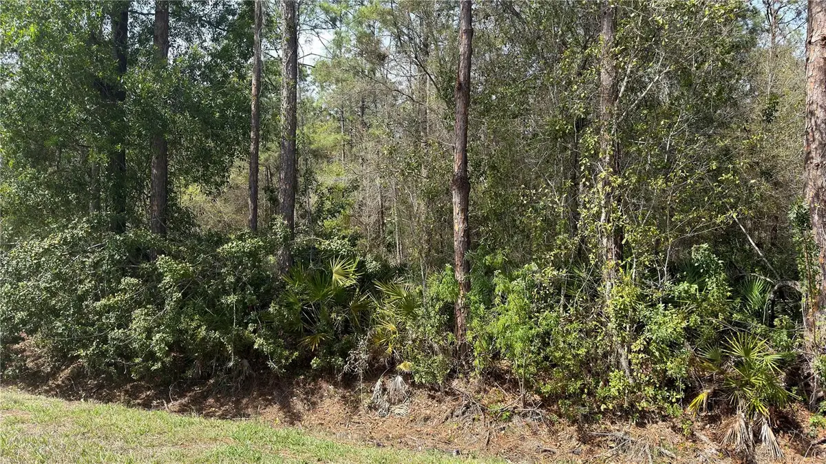 4801 E La Flam Road, Avon Park, FL 33825 - #1