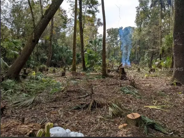 11939 W Wildflower Street, CRYSTAL RIVER, FL 34428