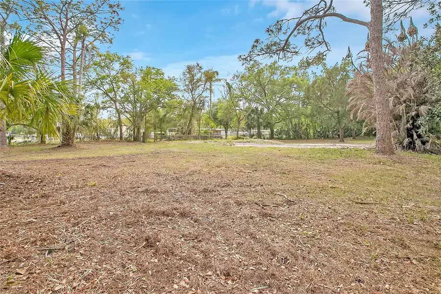 806 Saint Nicholas Avenue, Christmas, FL 32709 - #2