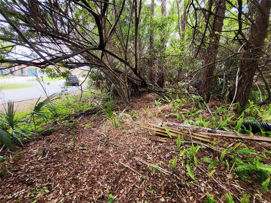 1720 Lantana Court Nw, Palm Bay, FL 32907 - #3