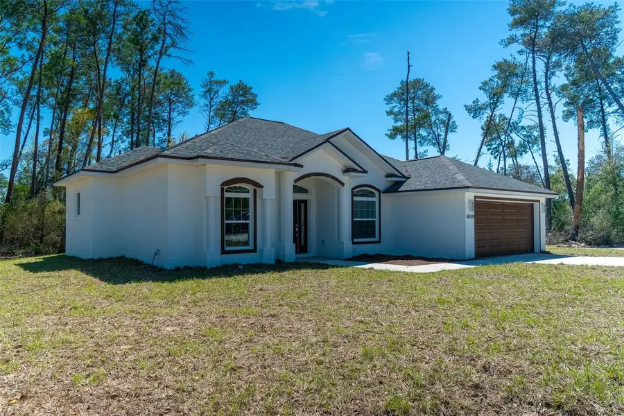 16559 SW 48th Terrace, Ocala, FL 34473 - #3