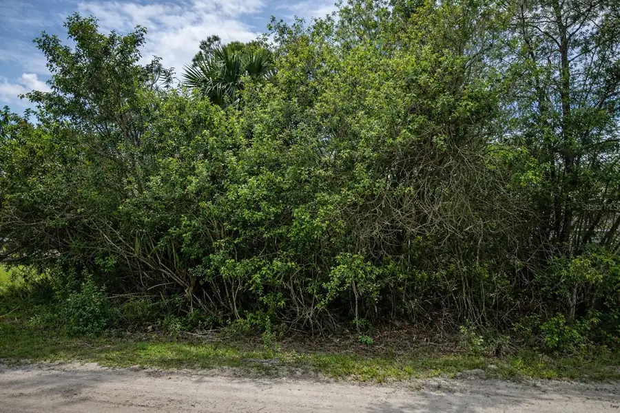 3342 Fitzpatrick Avenue Sw, Palm Bay, FL 32908 - #3