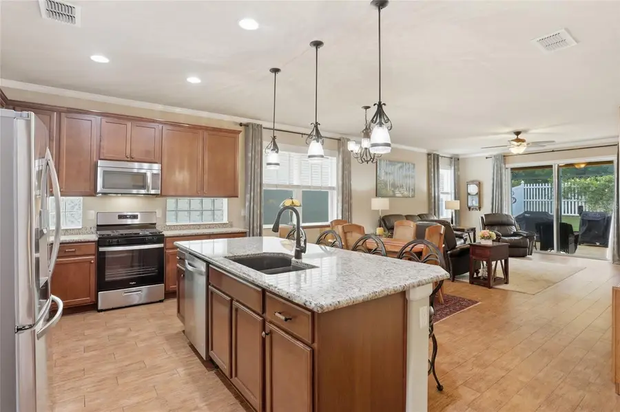 877 Haring Lane, Mount Dora, FL 32757 - #3