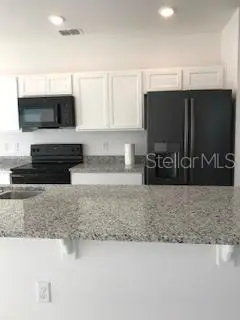 4304 Desert Rose Avenue, Kissimmee, FL 34746 - #2