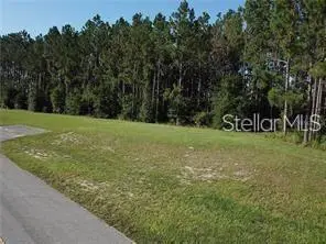 Lake Smith Road, UMATILLA, FL 32784