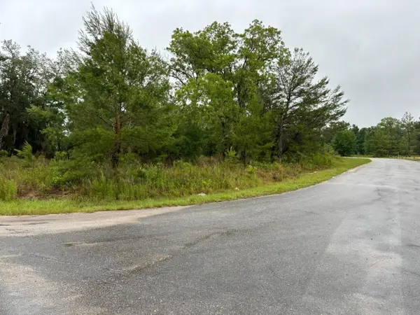 1 Malauka Radial Drive, OCKLAWAHA, FL 32179