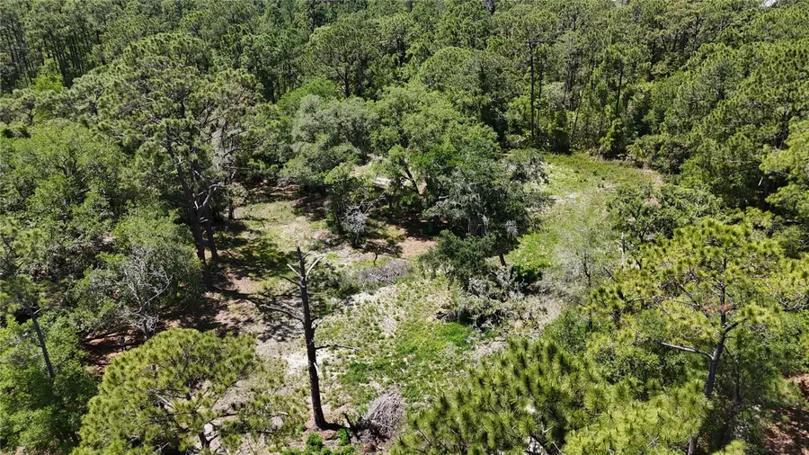 9121 Florida Boys Ranch Road, Clermont, FL 34711 - #3