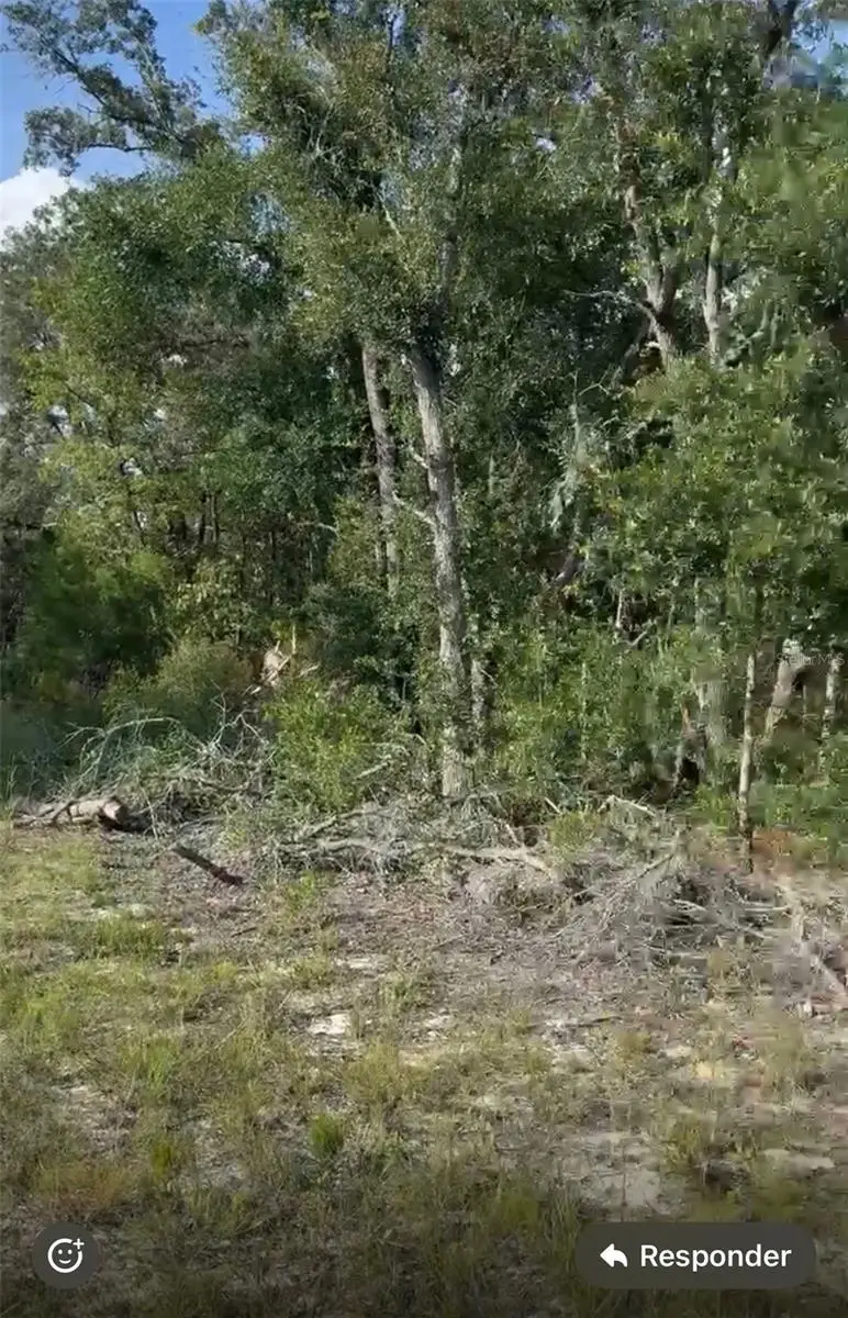 NE 97th Court, Bronson, FL 32621 - #3