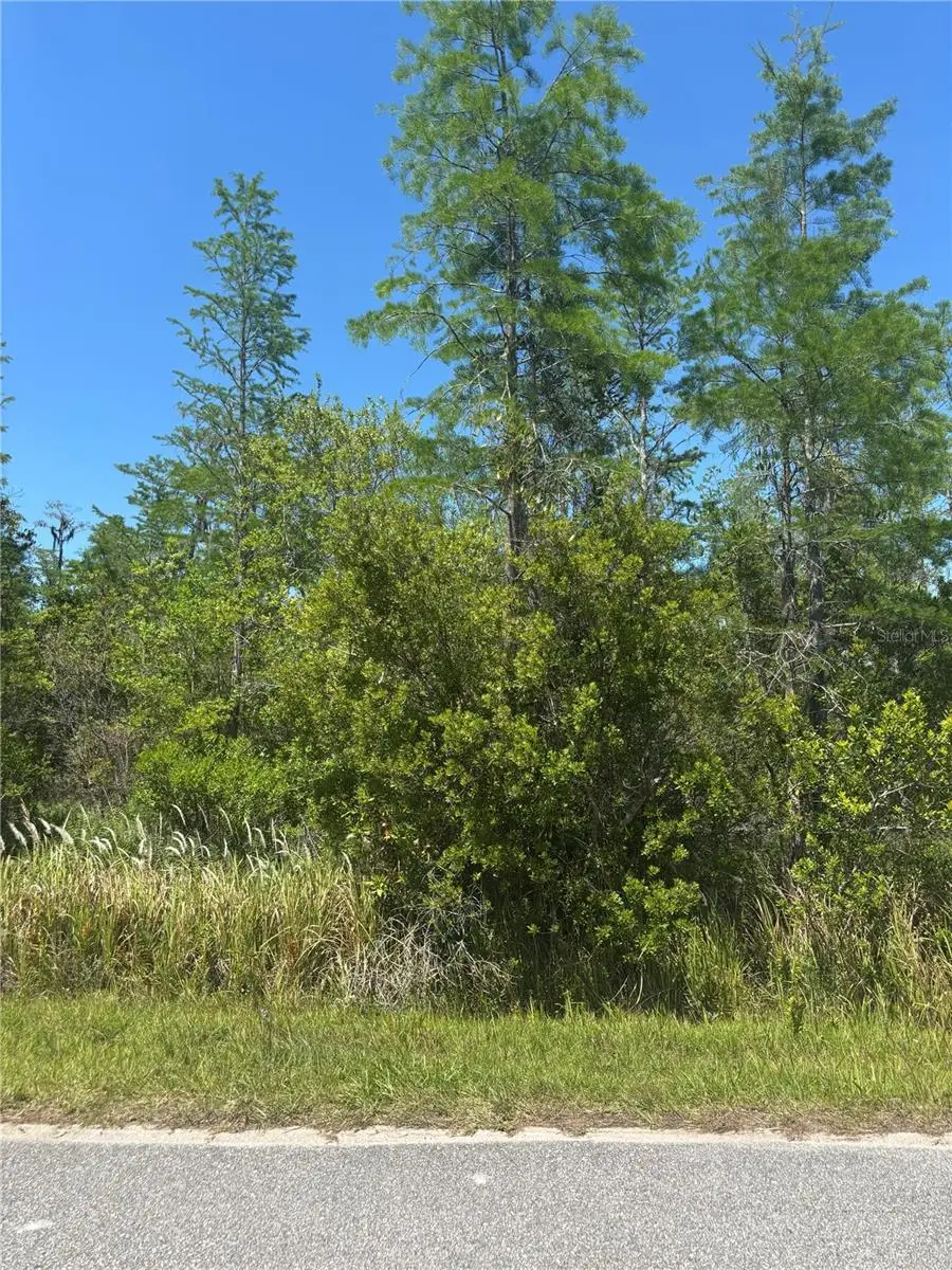 Atlas Drive, Saint Cloud, FL 34773 - #2