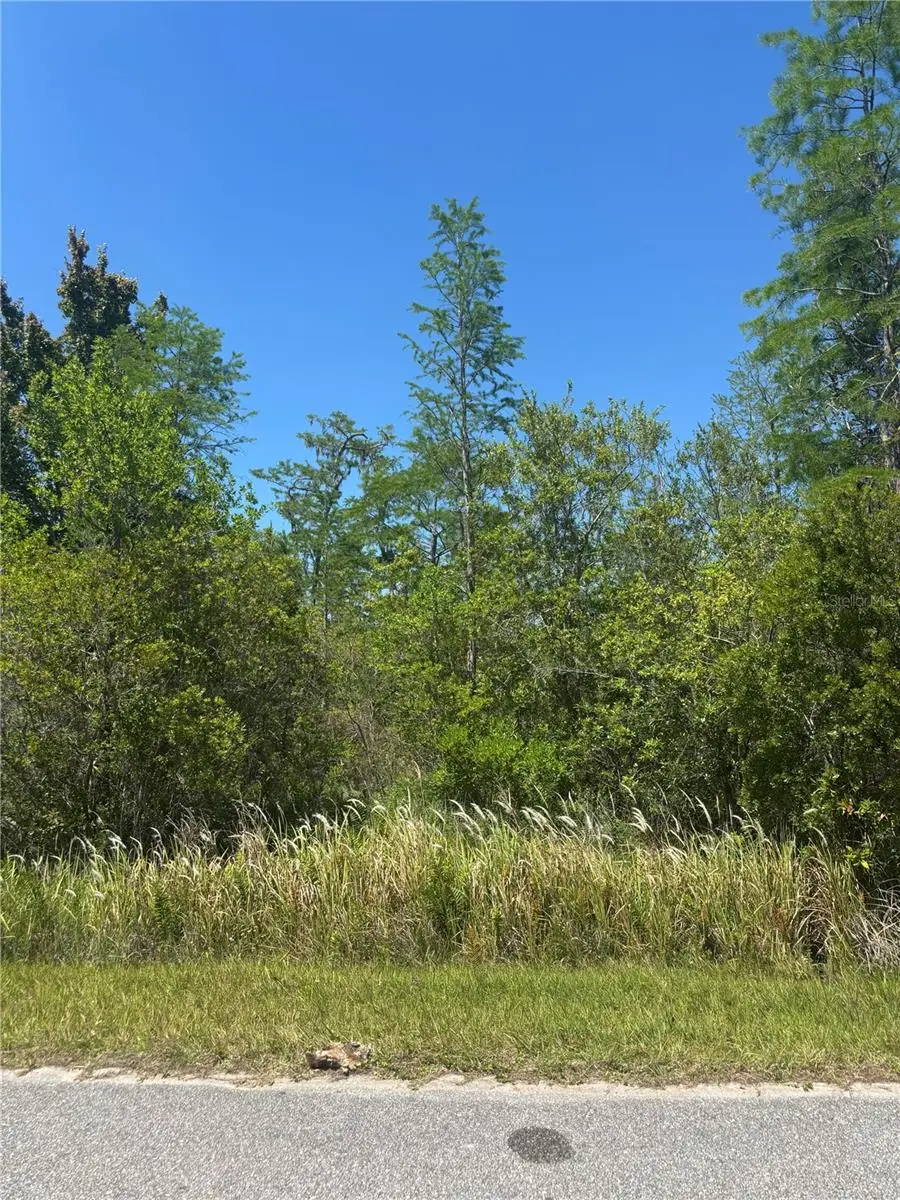 Atlas Drive, Saint Cloud, FL 34773 - #3